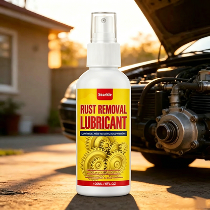 Anti-Rust Lubricant Spray & Rust Remover